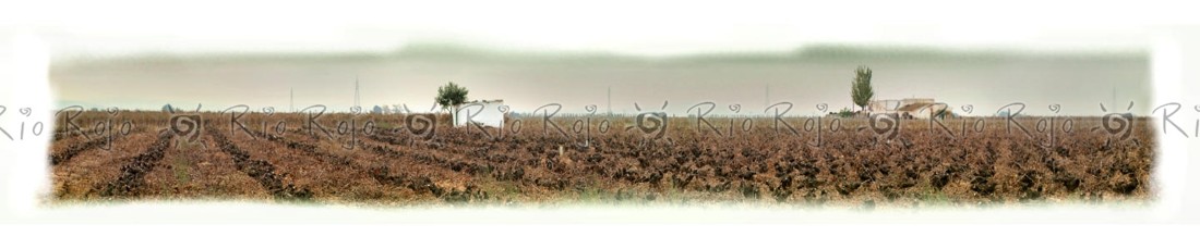 10 CASAS EN LA VIÑA ok