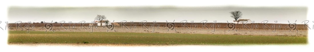 12 dos casas dos arboles