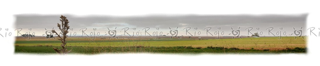 15 EL CARRERON II ok