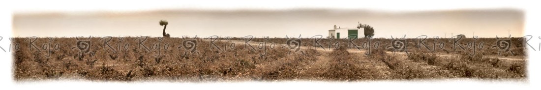 19 la casa de la puerta verde