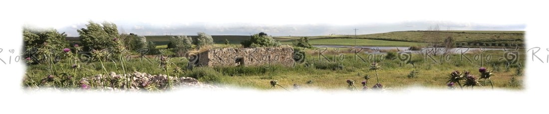 23 PAISAJE EN EL MOLINO DE GIÑON II ok