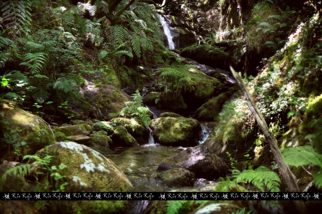 Fragas del Eume  (riorojo)