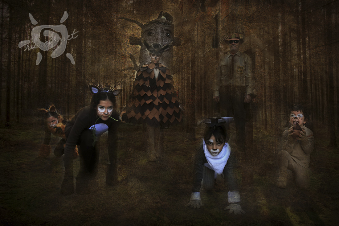 en el bosque, rio rojo fotógrafo